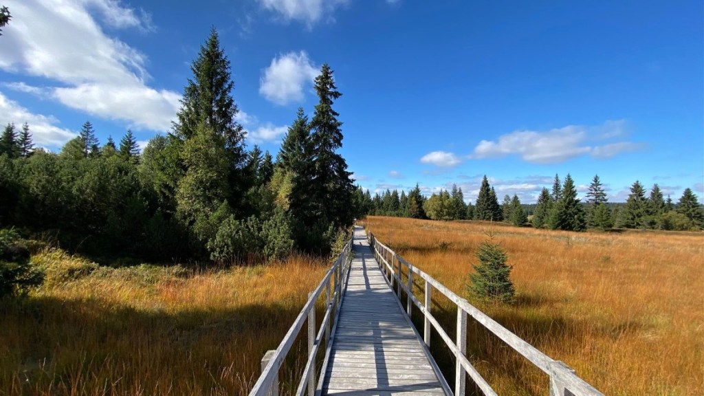 Božídarské rašeliniště