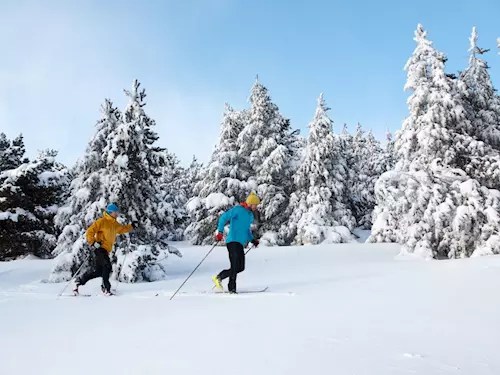 Běžecký lyžařský areál